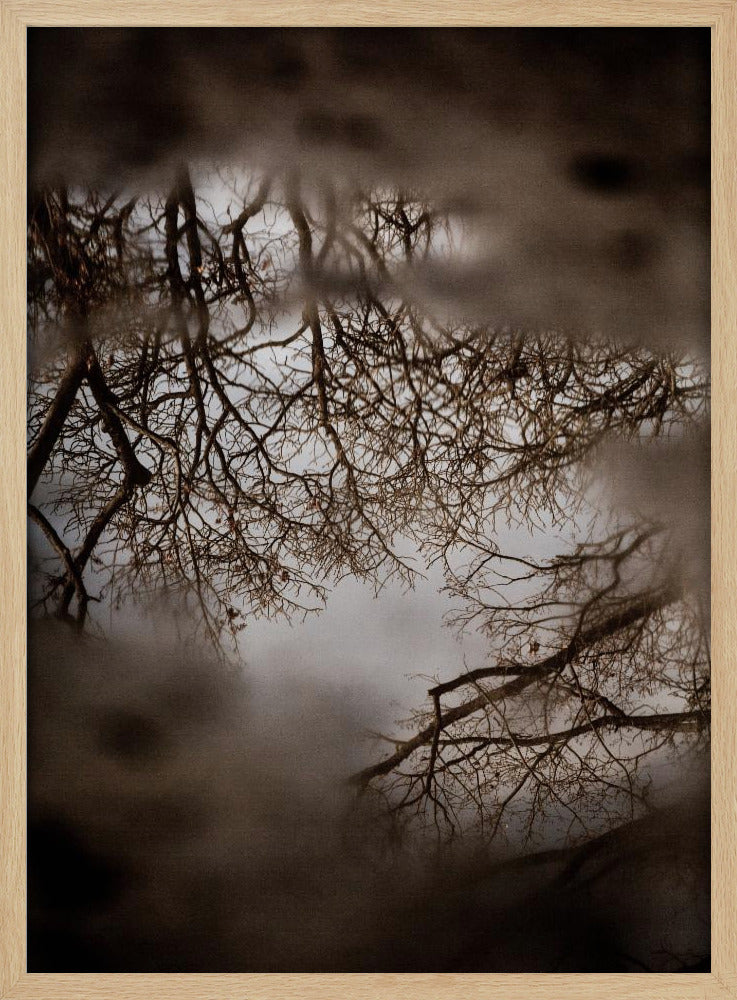 Winter Reflections | Poster
