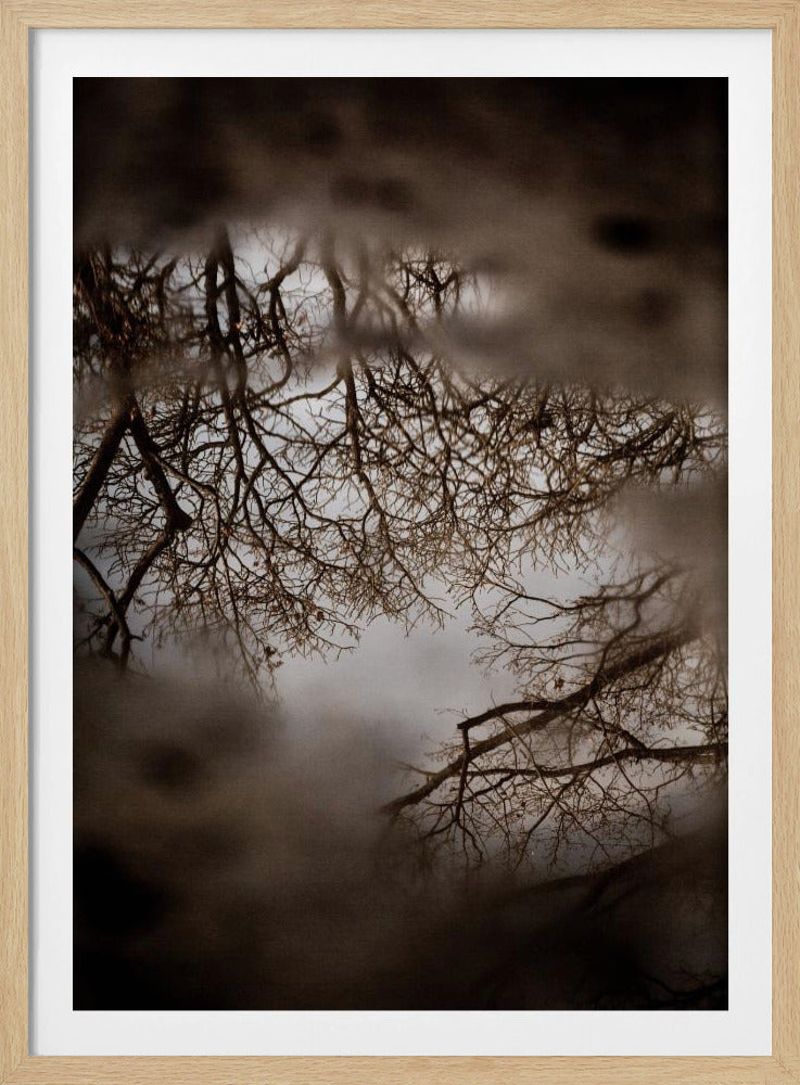 Winter Reflections | Poster