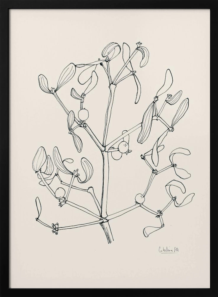 Misteltoe ink drawing | Poster