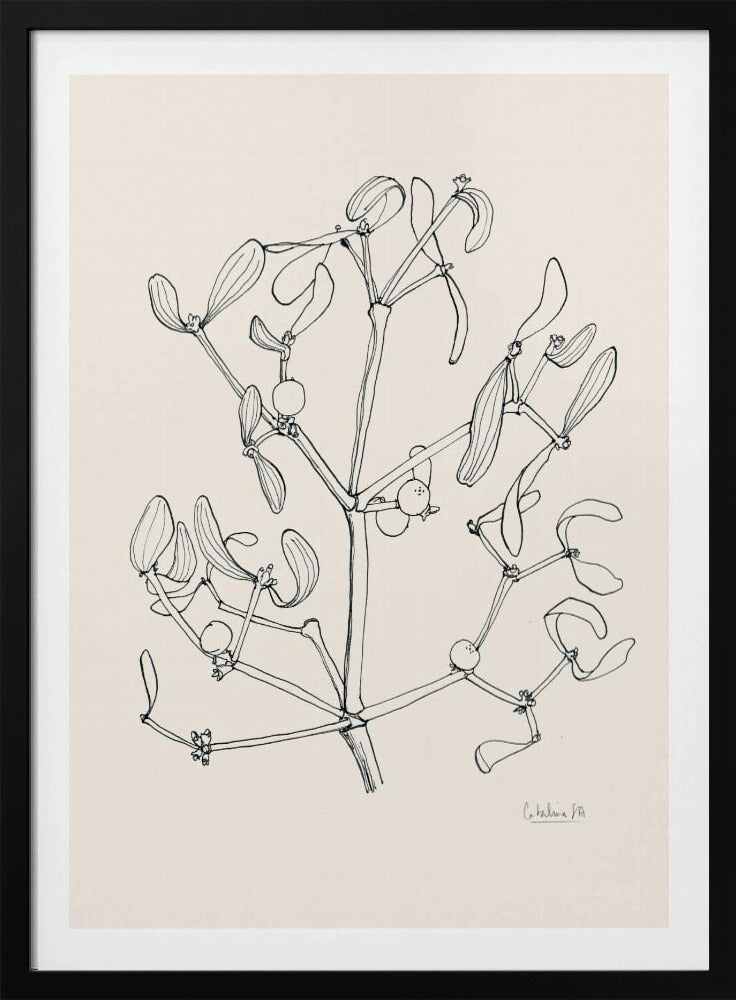 Misteltoe ink drawing | Poster
