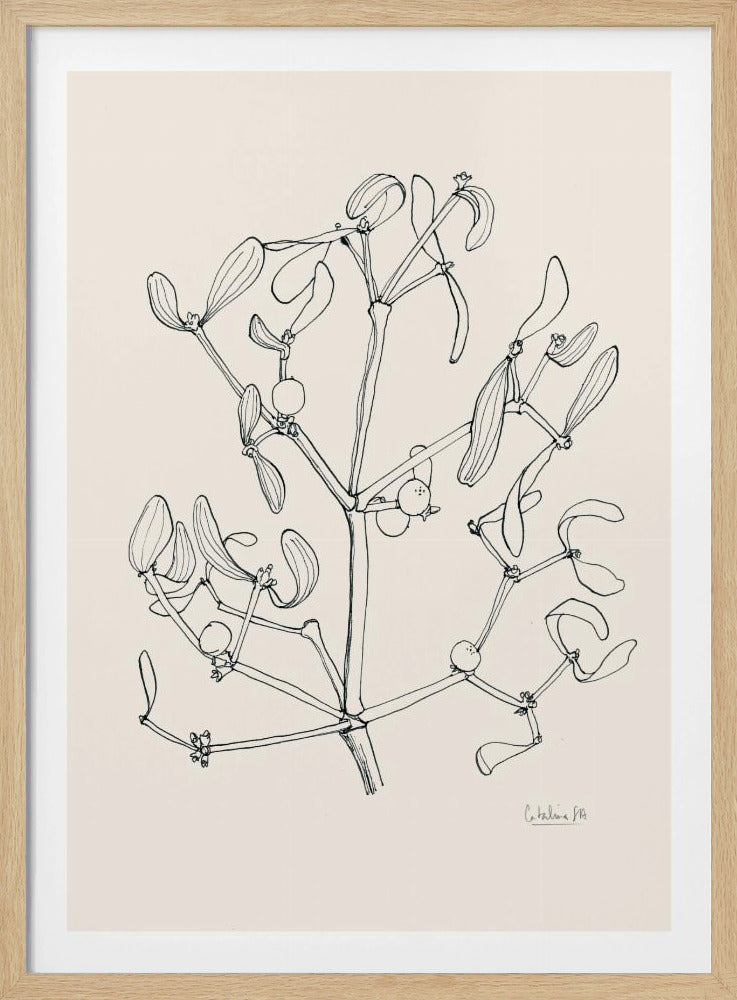 Misteltoe ink drawing | Poster