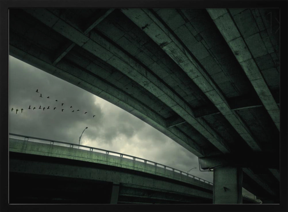 Last Flight | Poster