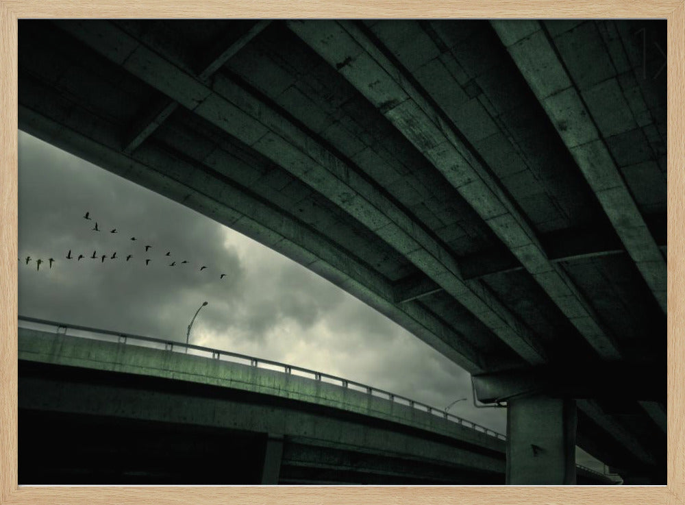 Last Flight | Poster