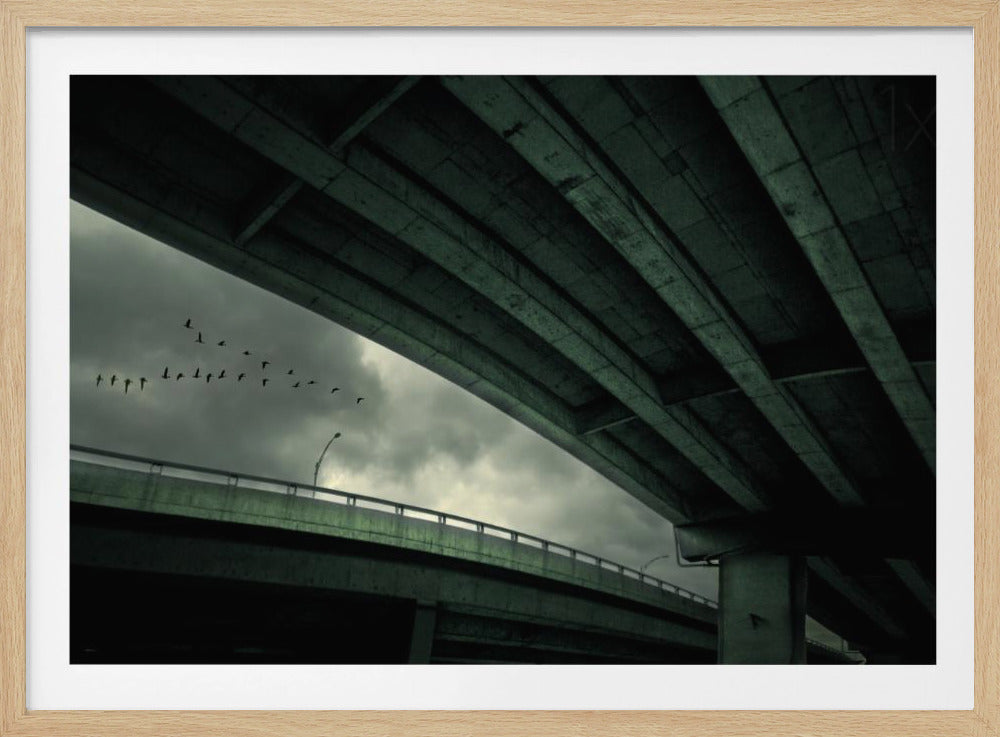 Last Flight | Poster