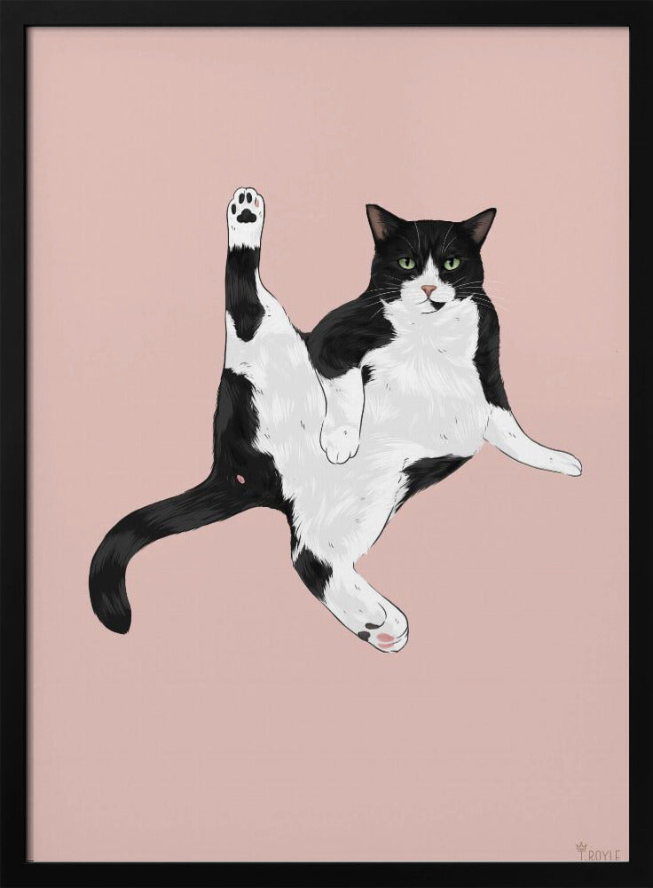 Cat In A Funny Pose | Poster