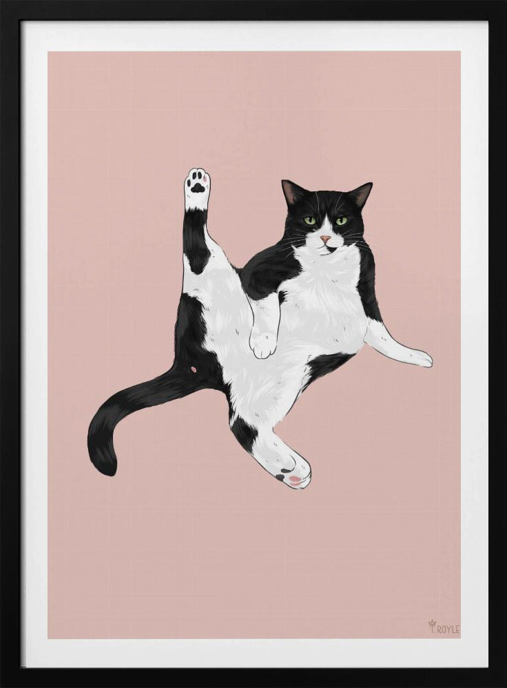 Cat In A Funny Pose | Poster