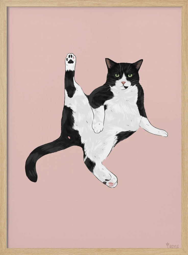 Cat In A Funny Pose | Poster