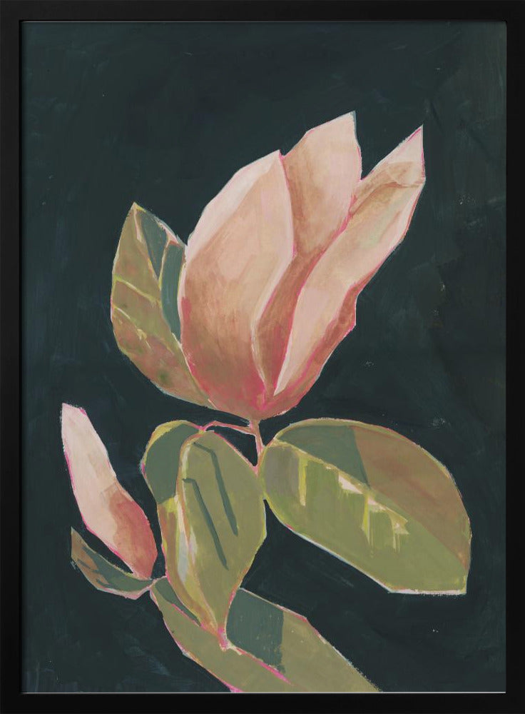 Magnolia in dark background | Poster