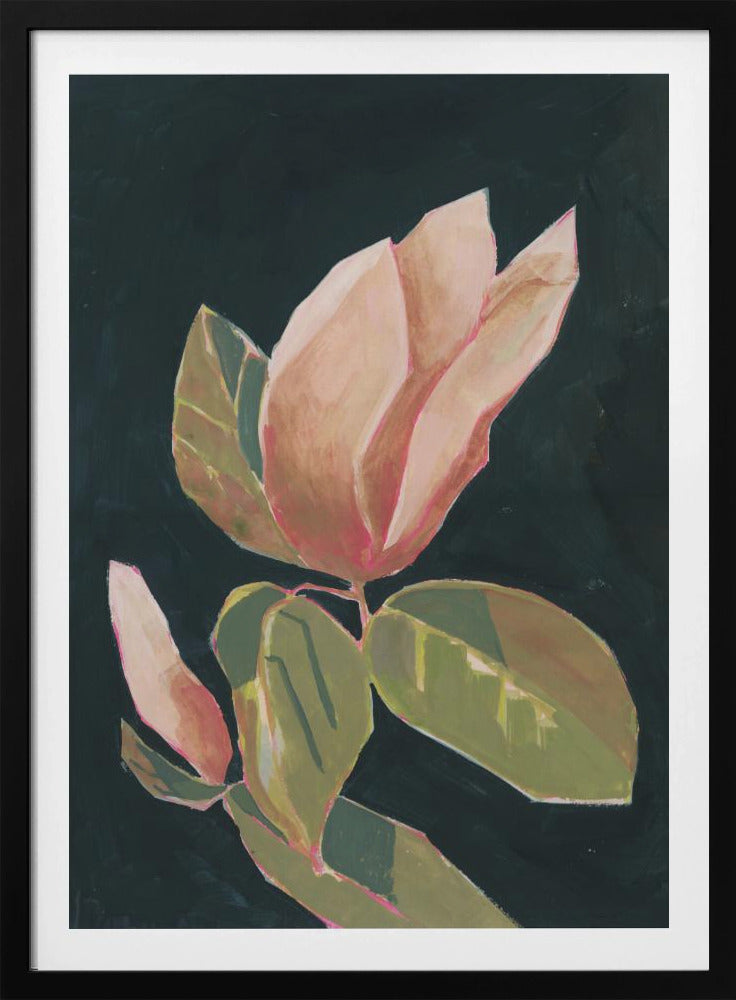 Magnolia in dark background | Poster