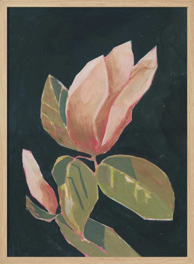 Magnolia in dark background | Poster