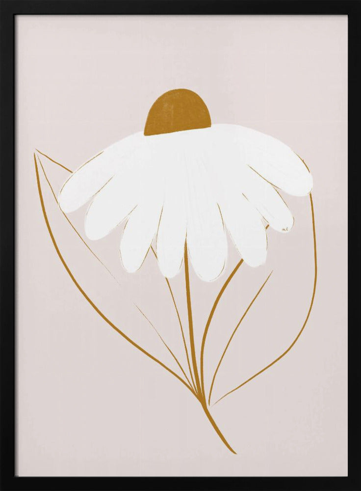 White Daisy | Poster
