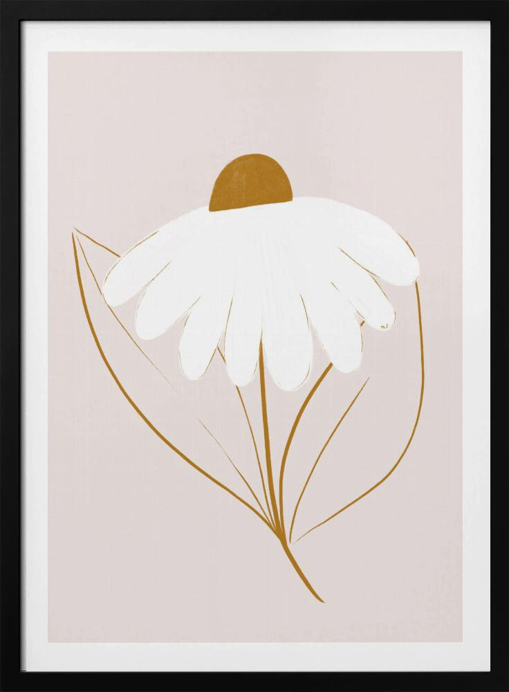 White Daisy | Poster