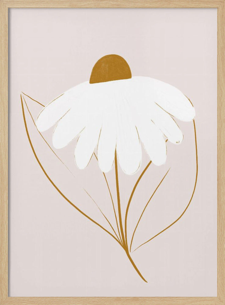 White Daisy | Poster