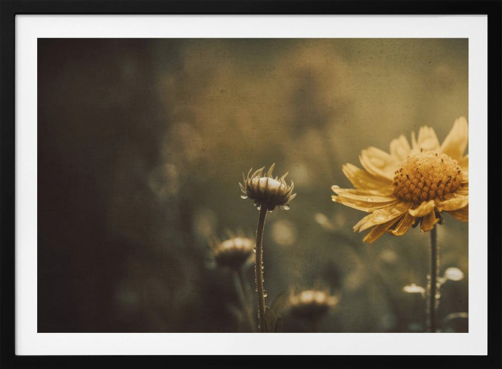 Golden Whisper | Poster