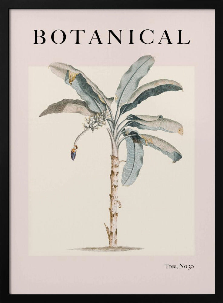 Botanicalno30 Ratioiso | Poster