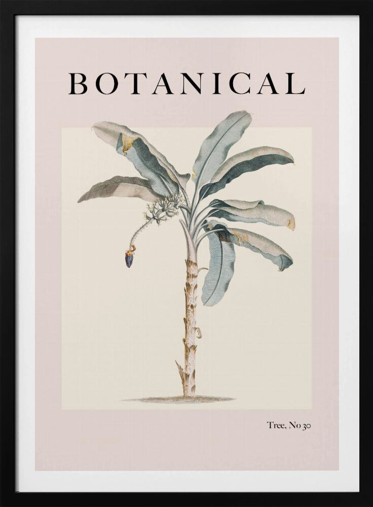 Botanicalno30 Ratioiso | Poster