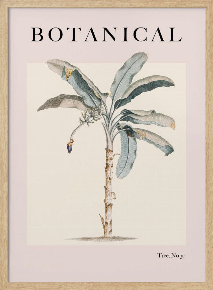 Botanicalno30 Ratioiso | Poster