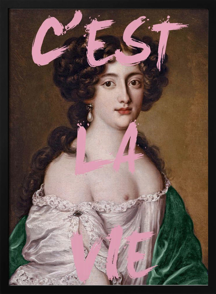 Cestlavie3 Ratio2x3 | Poster