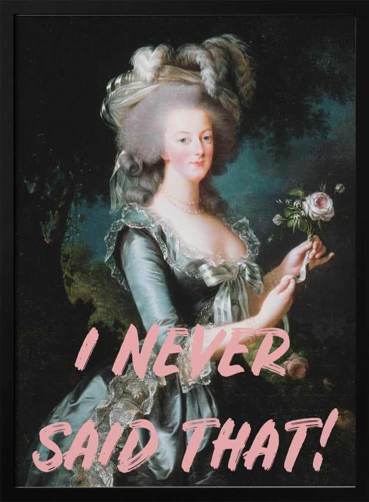 Ineversaidthat Ratio2x3 | Poster