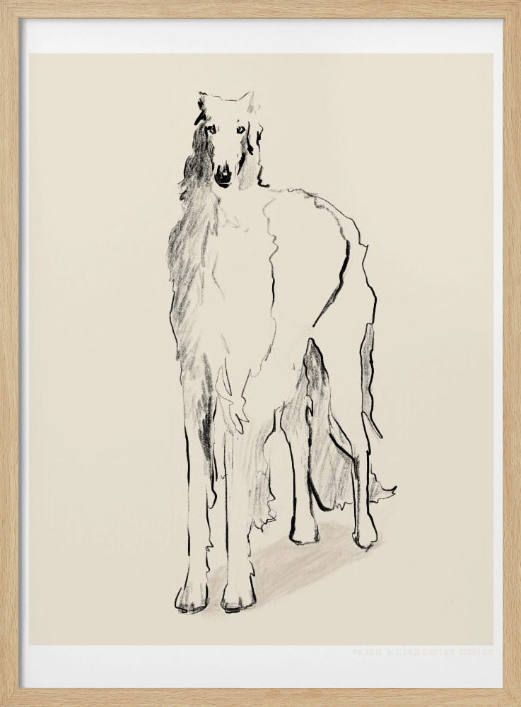Borzoi Russian Wolfhound Pandc | Poster