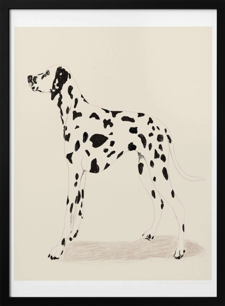 Pandc Dalmation | Poster