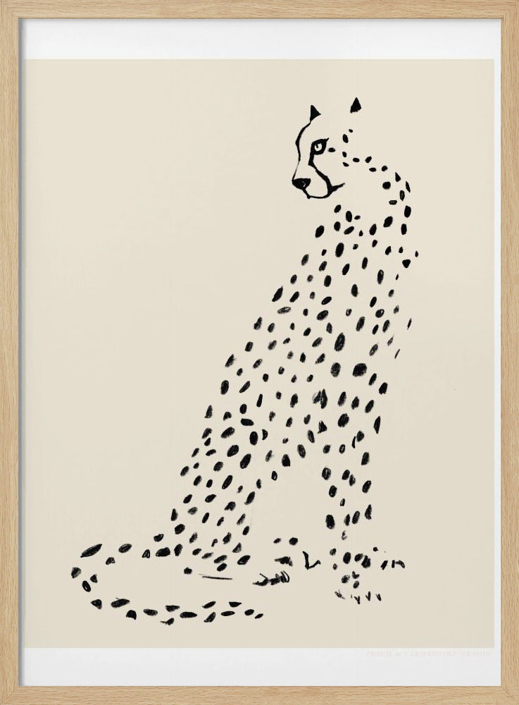 Pandc Leopard | Poster