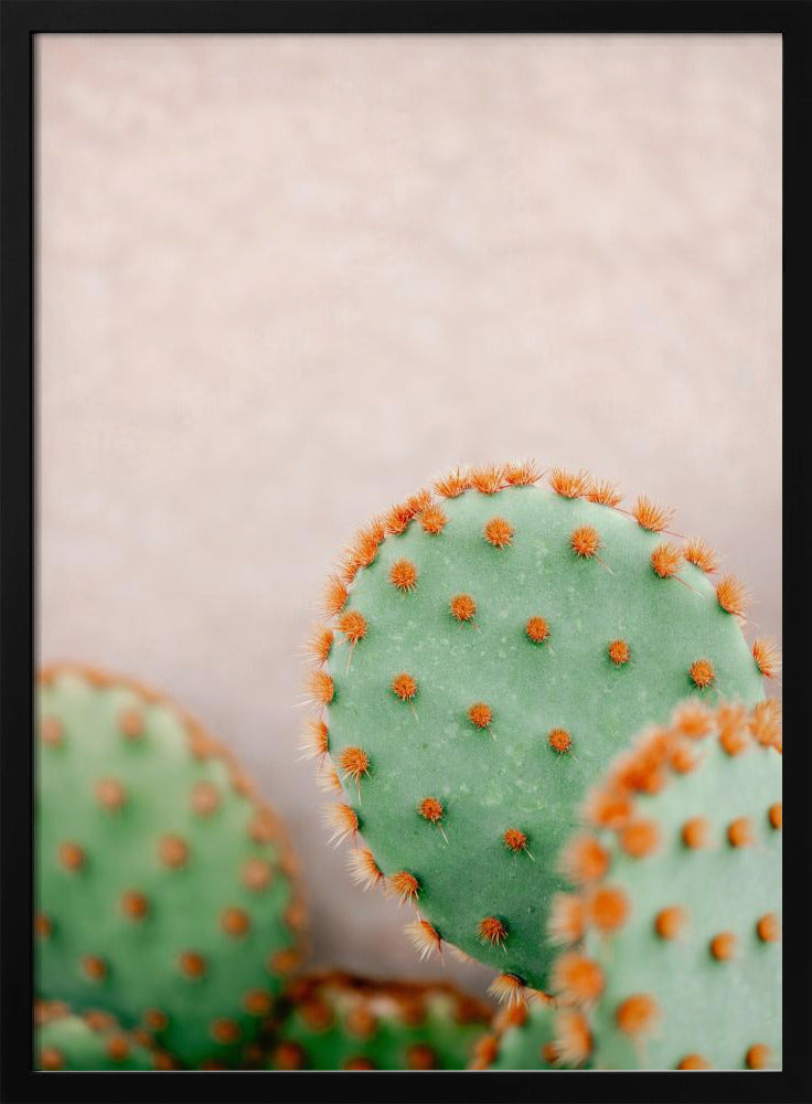 Cacti Pastel Tones | Poster