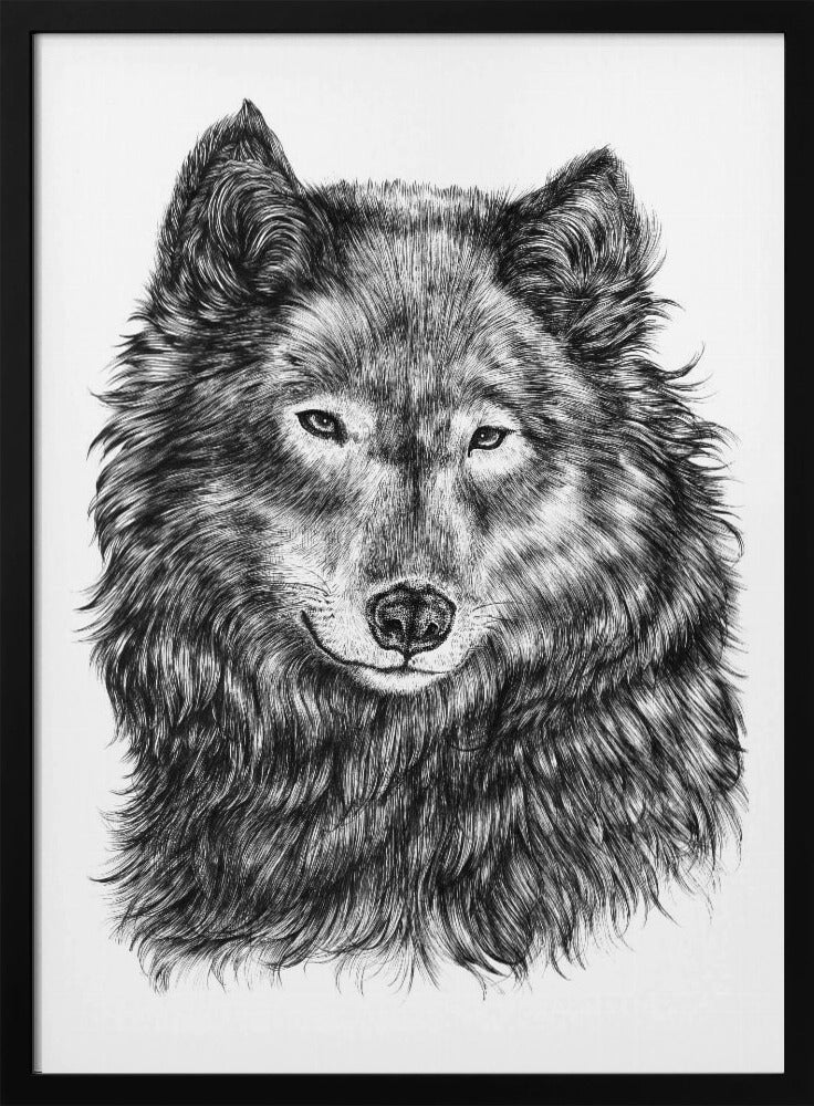Wolf | Poster