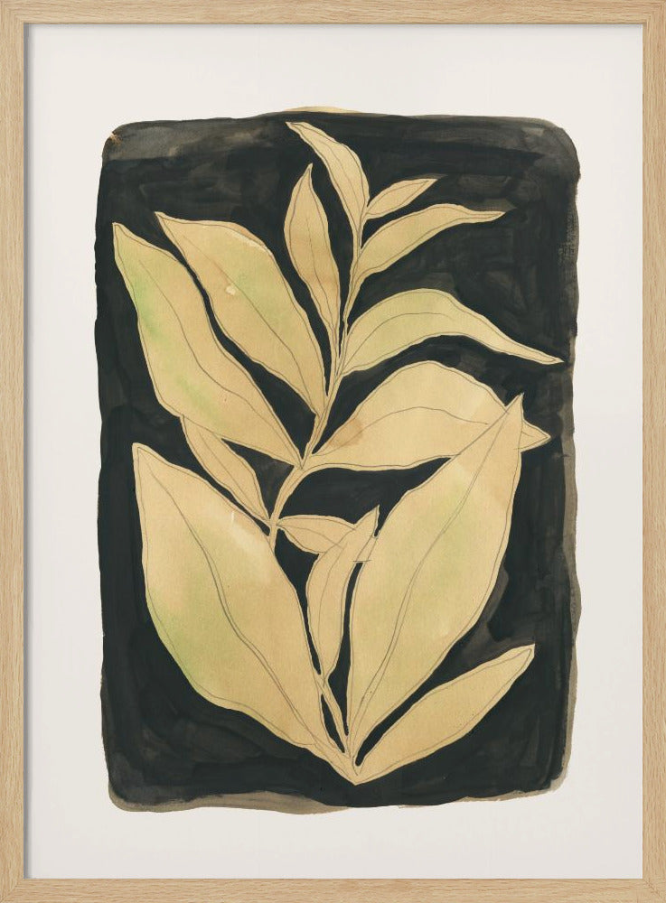 Foliage noir N.2 | Poster