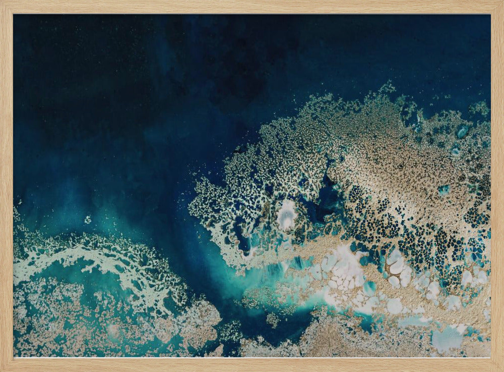 Gold Elegant | Poster