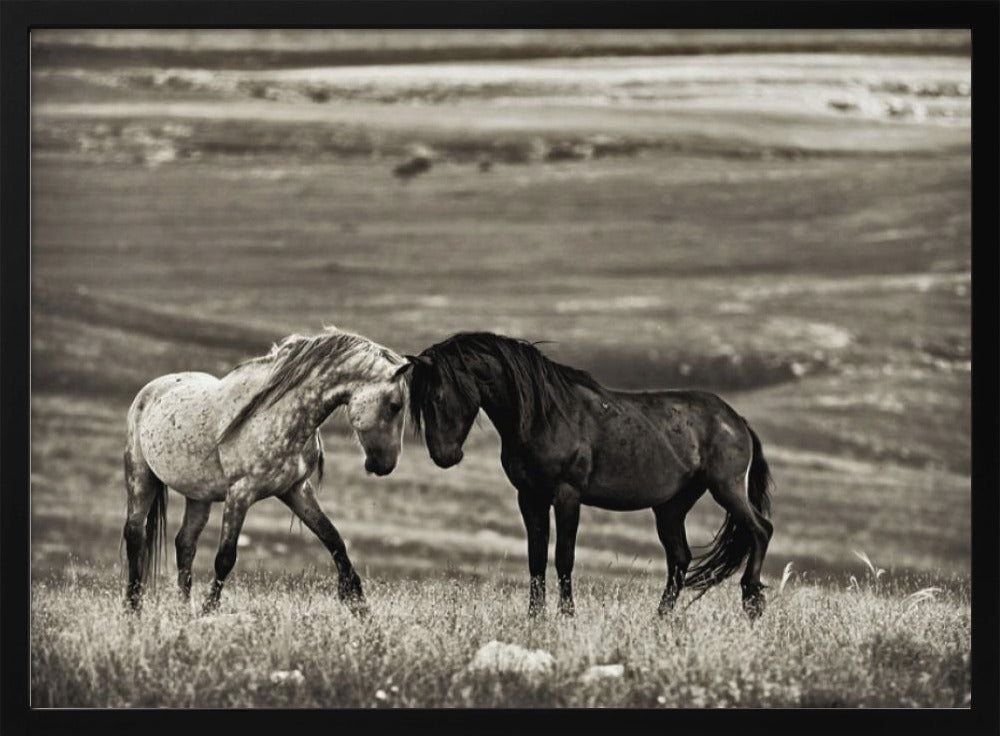 close encounter | Poster