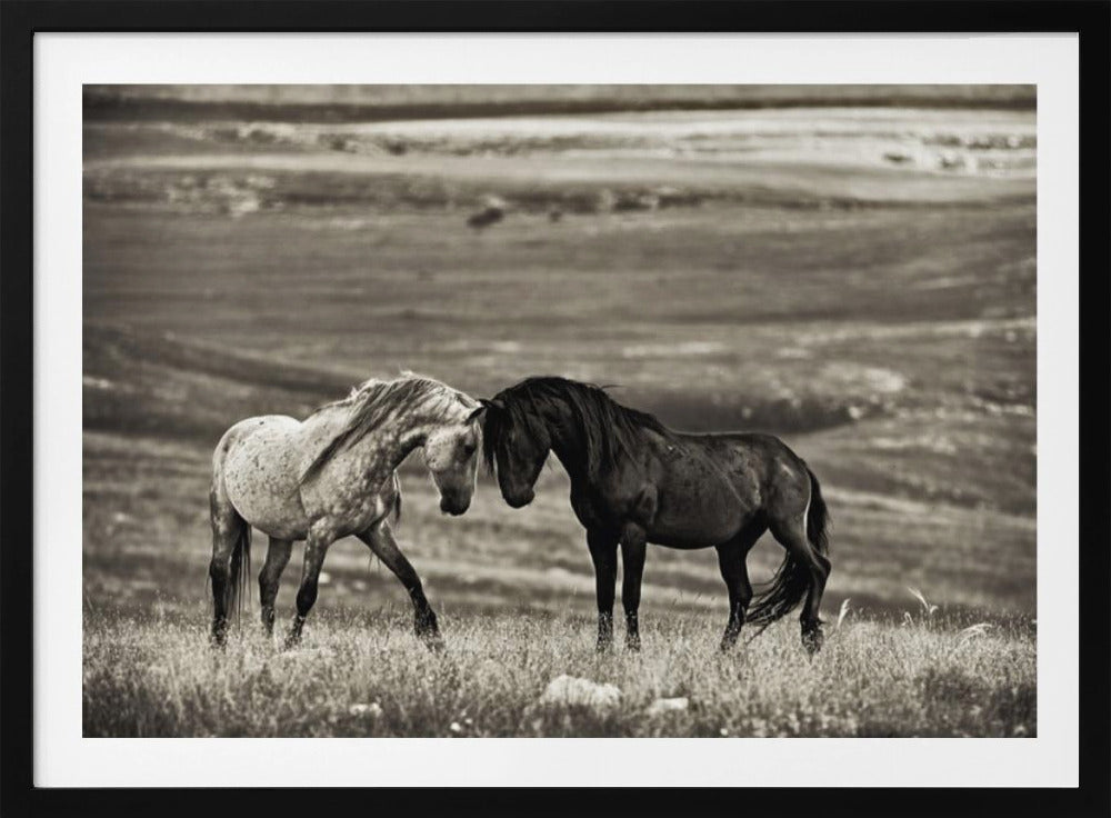 close encounter | Poster