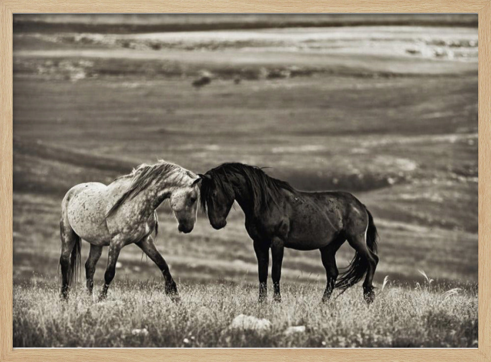 close encounter | Poster