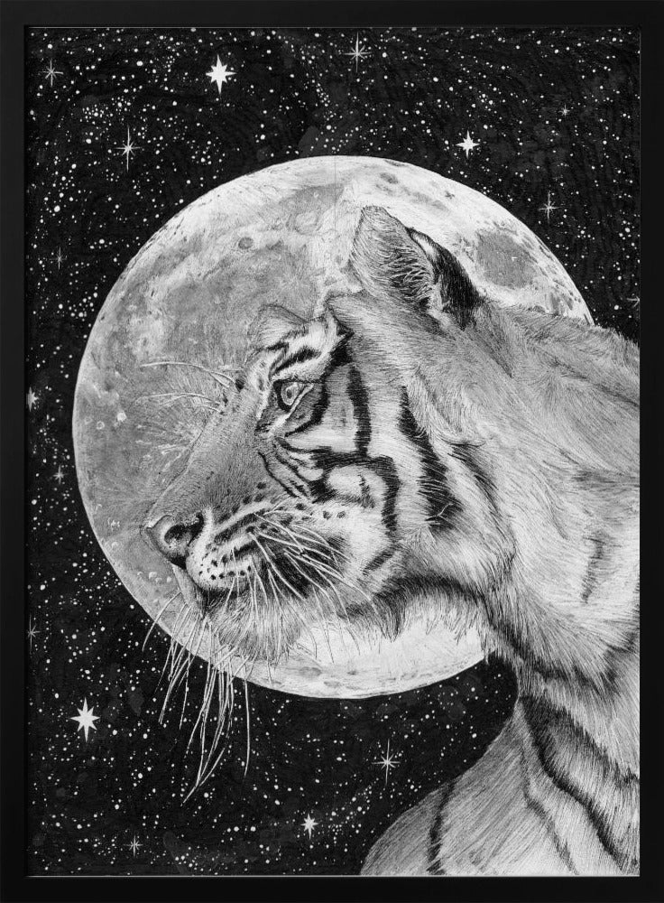 Moon and Tiger Original | Poster