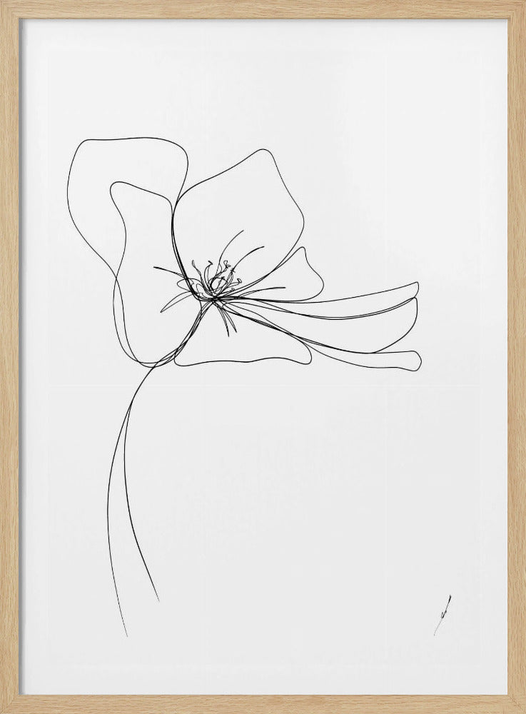 Whimsical Bloom | Poster