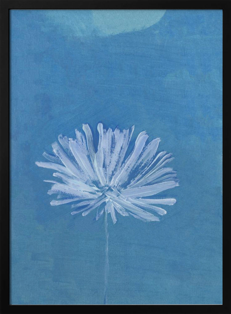 White Flower On Blue Background | Poster