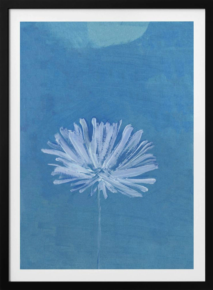 White Flower On Blue Background | Poster