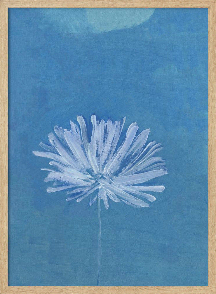 White Flower On Blue Background | Poster