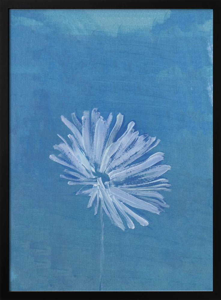 White Flower On Blue Background | Poster
