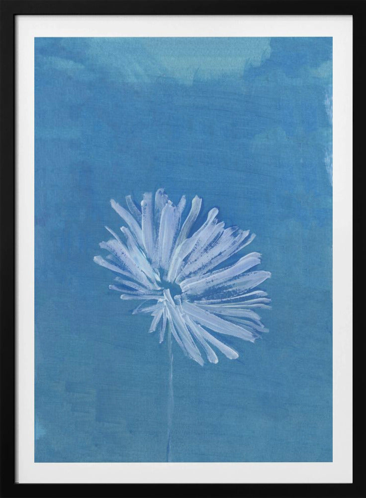 White Flower On Blue Background | Poster