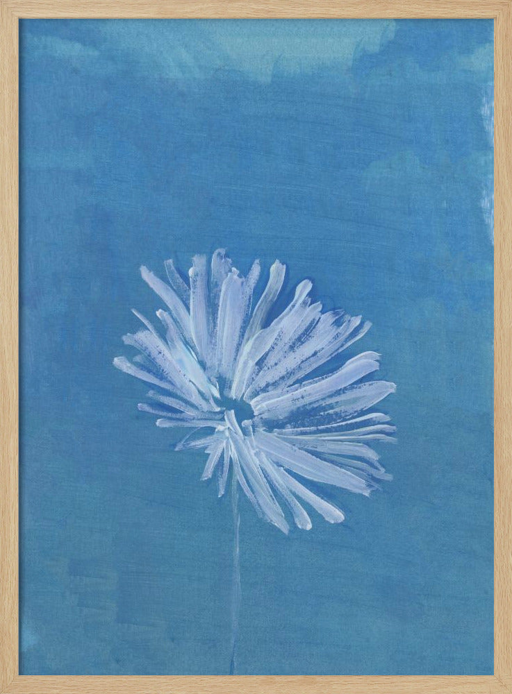 White Flower On Blue Background | Poster