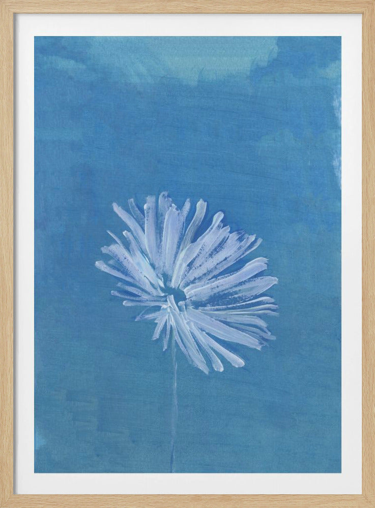 White Flower On Blue Background | Poster