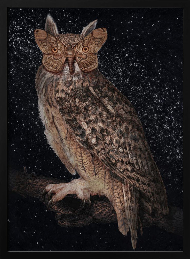 Camouflage and Stars Colour | Poster