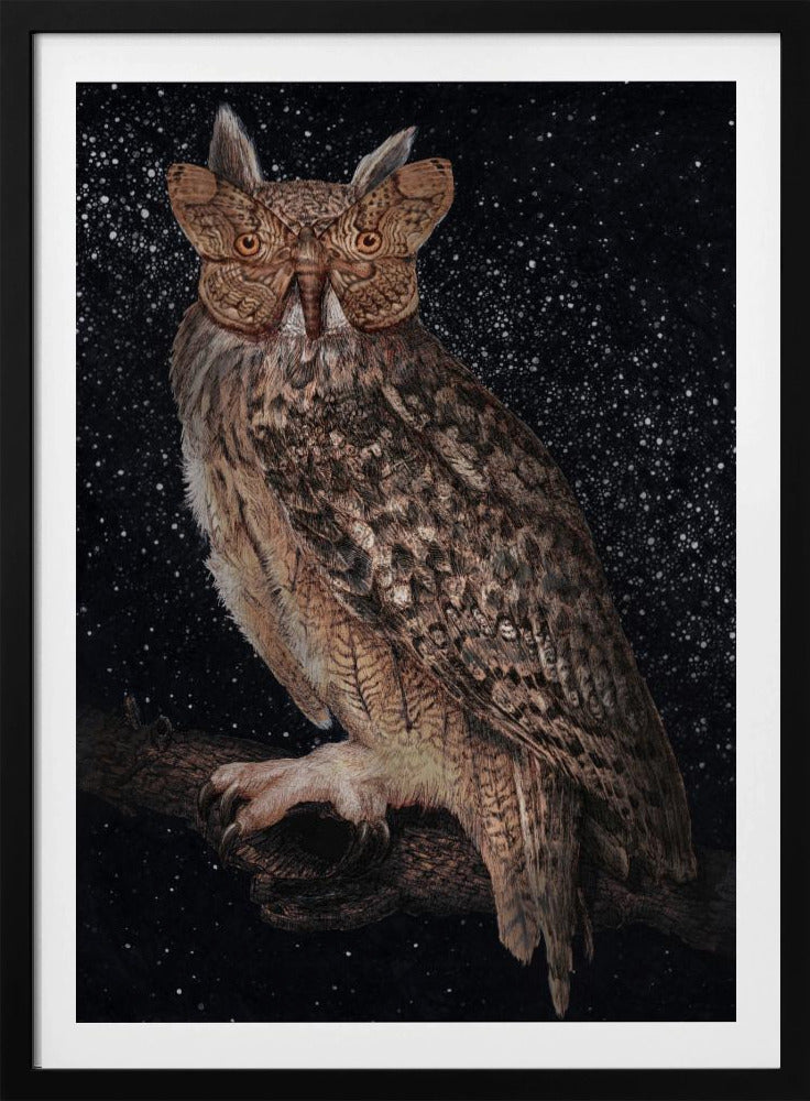 Camouflage and Stars Colour | Poster