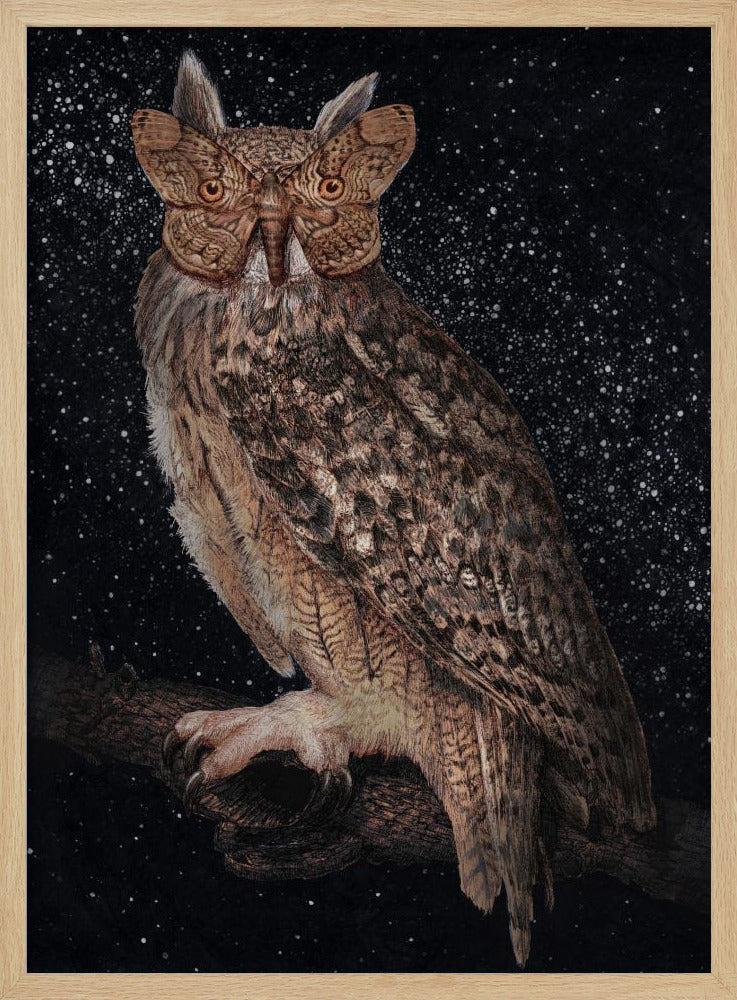 Camouflage and Stars Colour | Poster