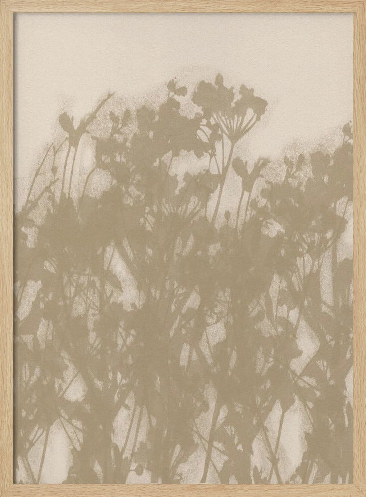 Wild Meadow in Ochre and White | Poster