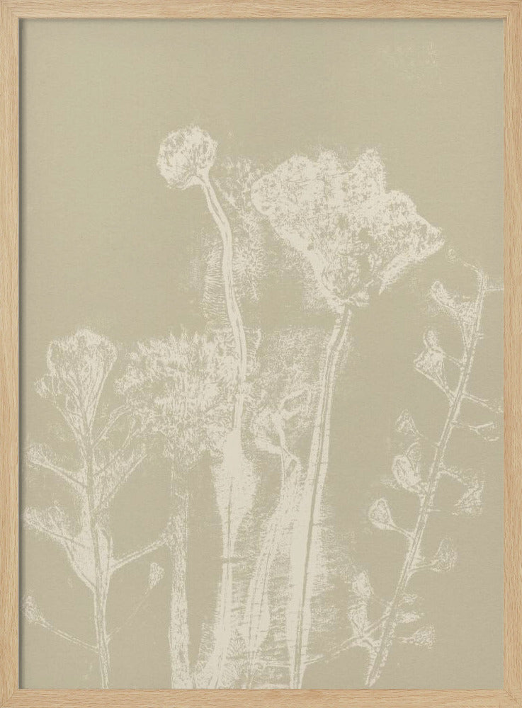 Abstract Florals. White meadow plants and flowers on neutral beige. | Poster