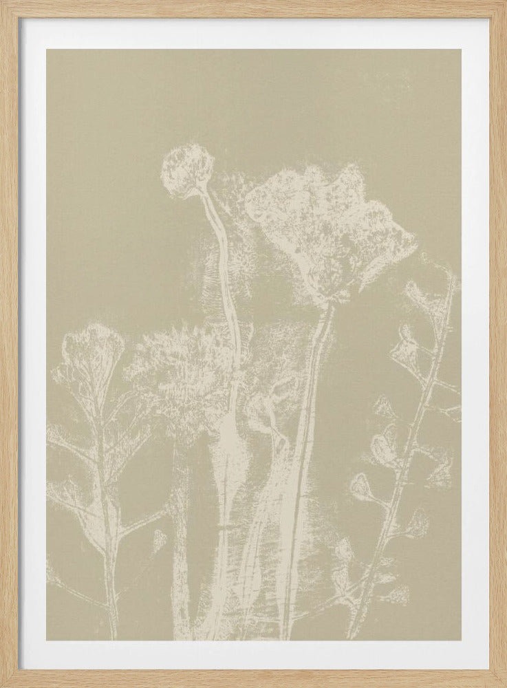 Abstract Florals. White meadow plants and flowers on neutral beige. | Poster