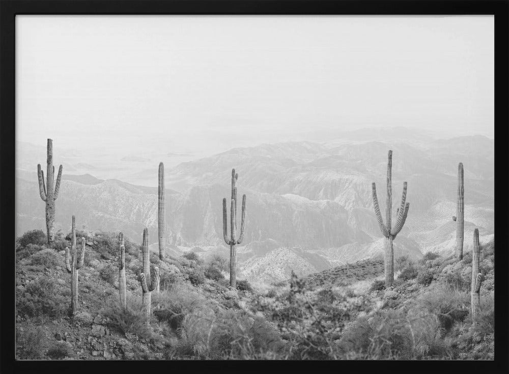 Western Cactus | Poster