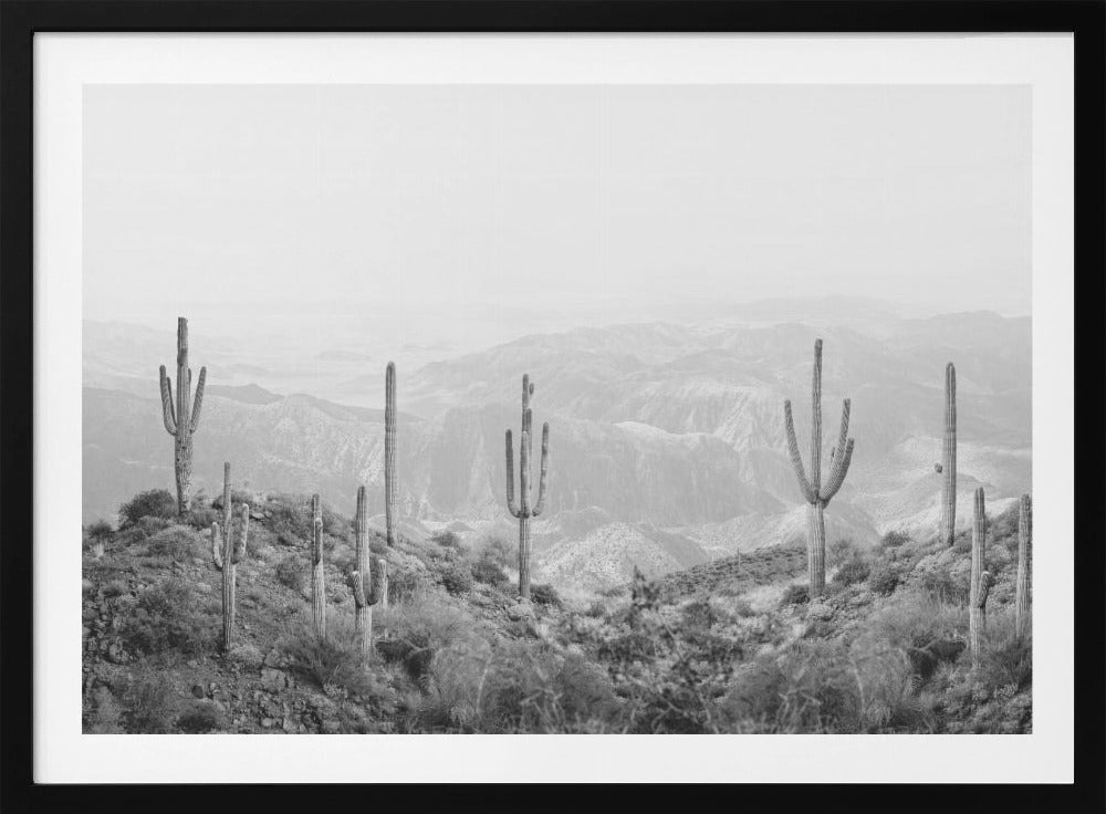 Western Cactus | Poster